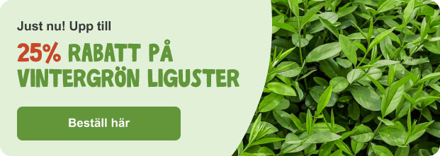 Startbanner Col 2 Startbanner Col 2