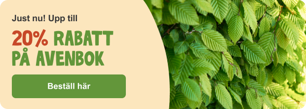 Startbanner Col 1 Startbanner Col 1